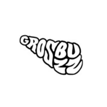 Code Promo Grosbuzz