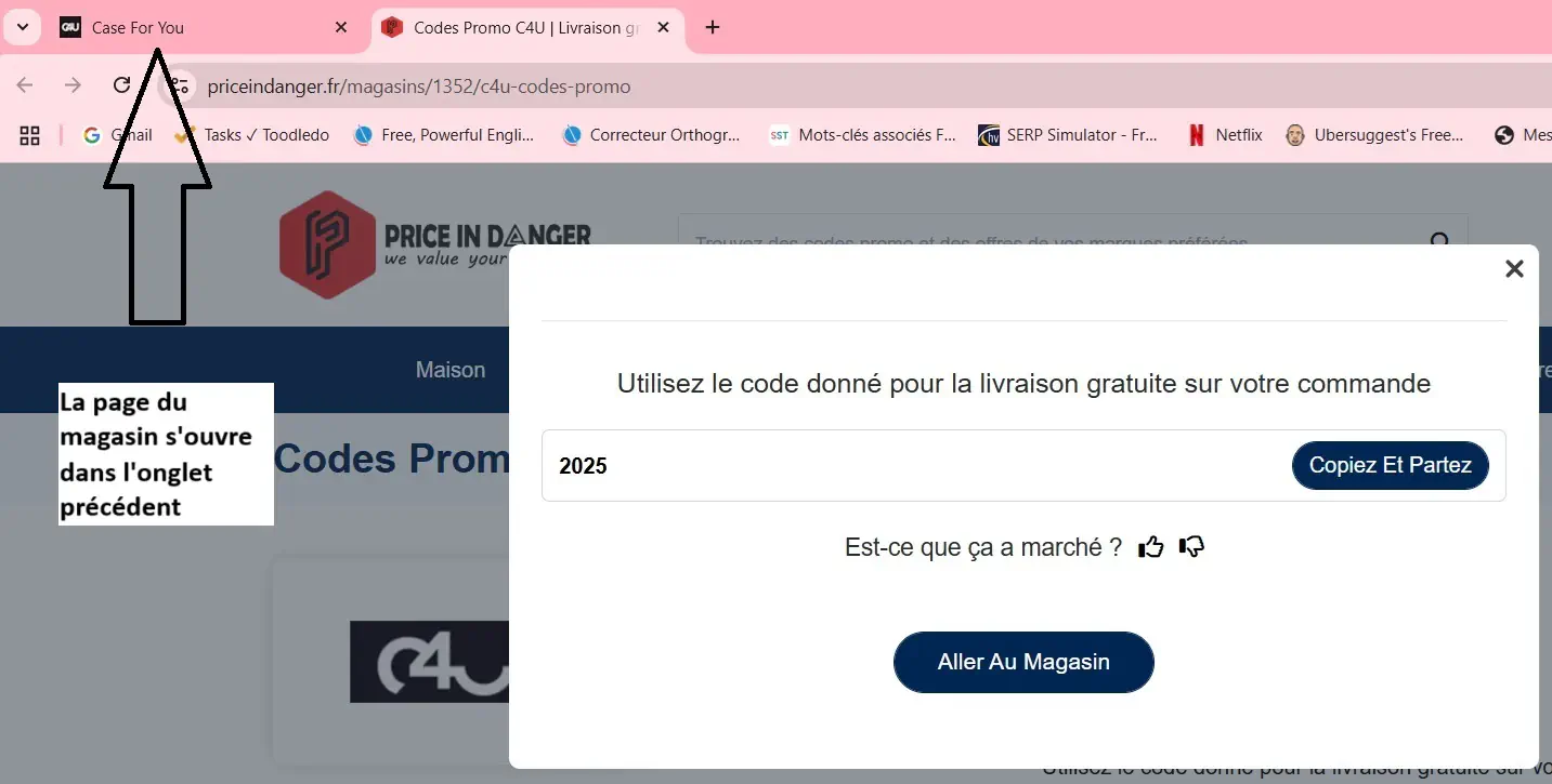 Le code promo et la page du magasin dans l&rsquo;onglet pr&eacute;c&eacute;dent.webp